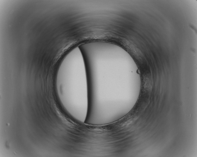X0000098200542200804241041