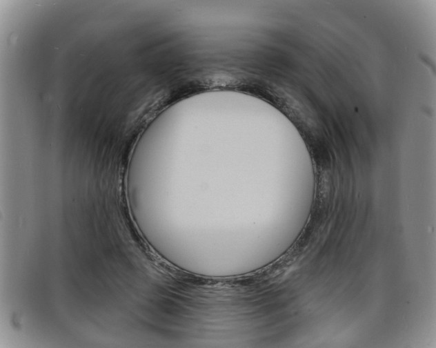 X0000098200545200804241041