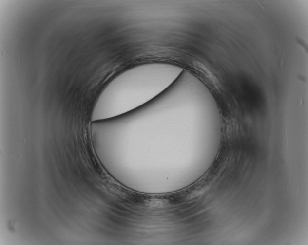 X0000098200549200804241041