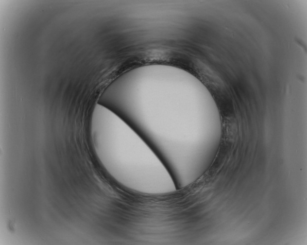 X0000098200550200804241041