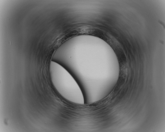 X0000098200554200804241041