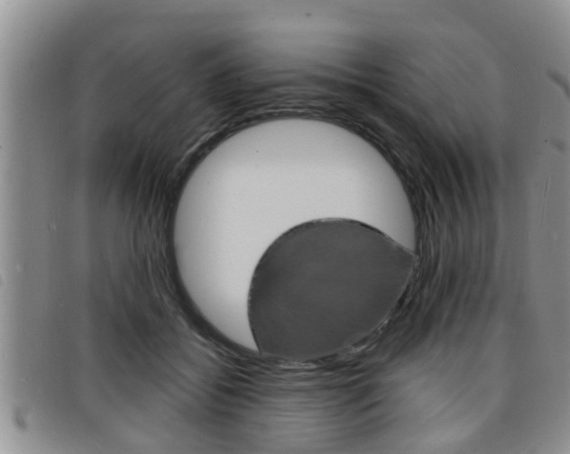 X0000098200556200804241041