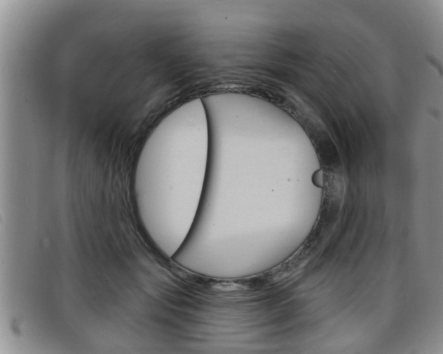 X0000098200557200804241041