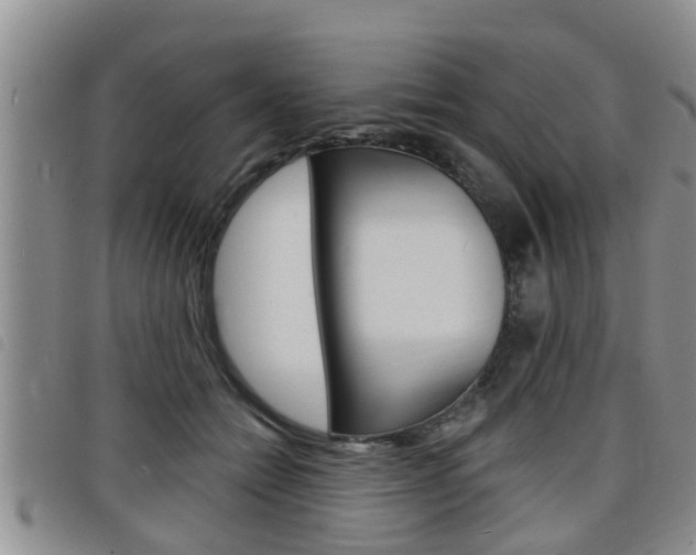 X0000098200558200804241041