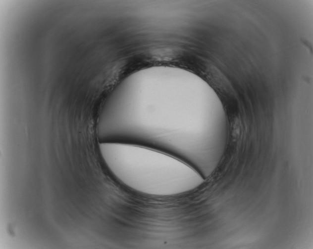 X0000098200559200804241041