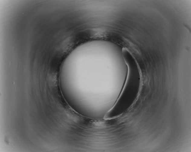 X0000098200560200804241041