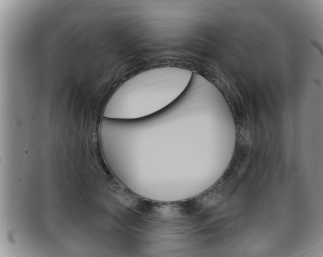 X0000098200561200804241041