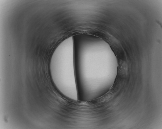 X0000098200562200804241041