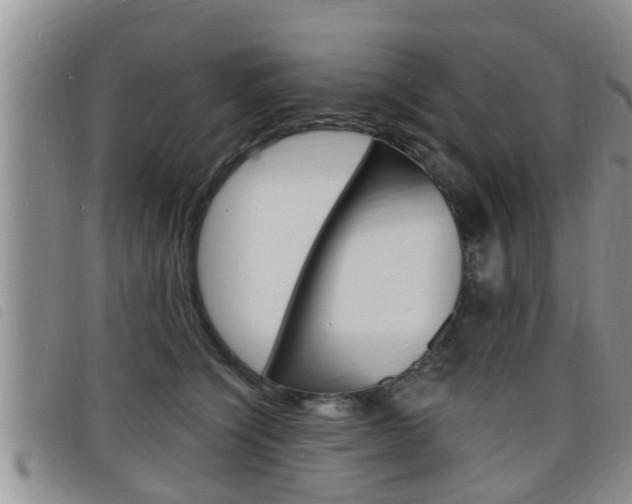 X0000098200564200804241041