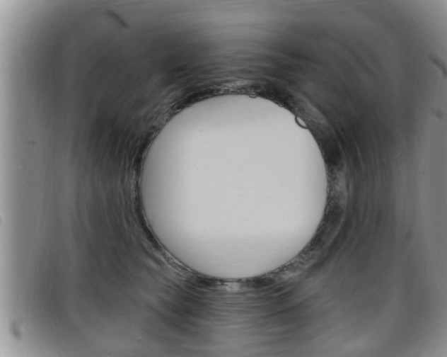 X0000098200565200804241041