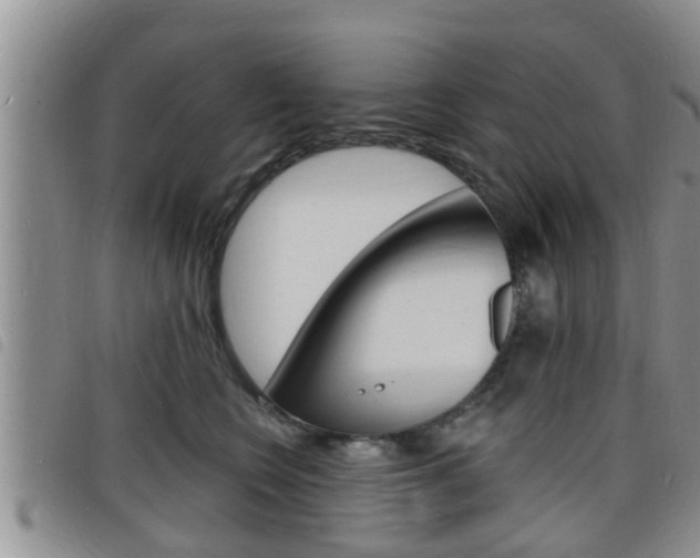 X0000098200566200804241041