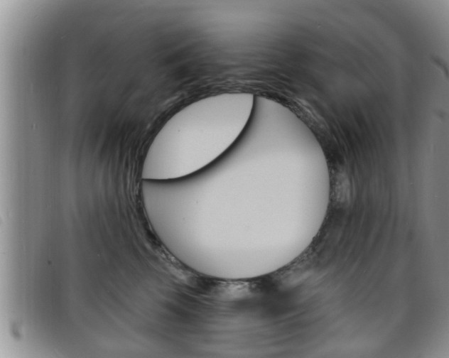X0000098200569200804241041