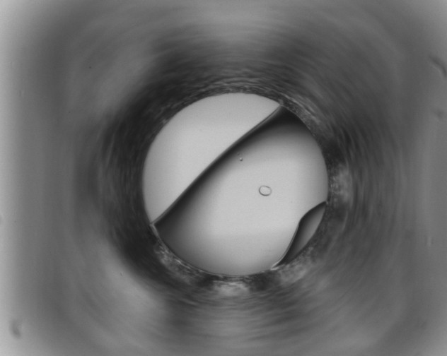 X0000098200572200804241041