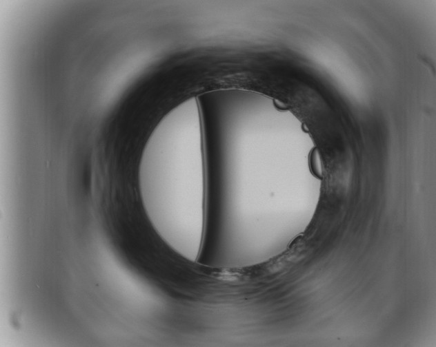 X0000098200574200804241041