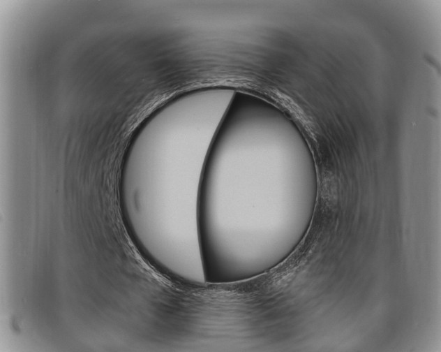X0000098200577200804241041