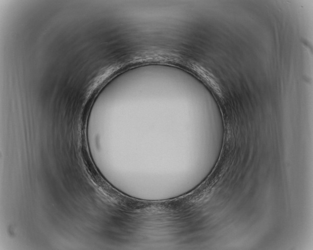 X0000098200578200804241041