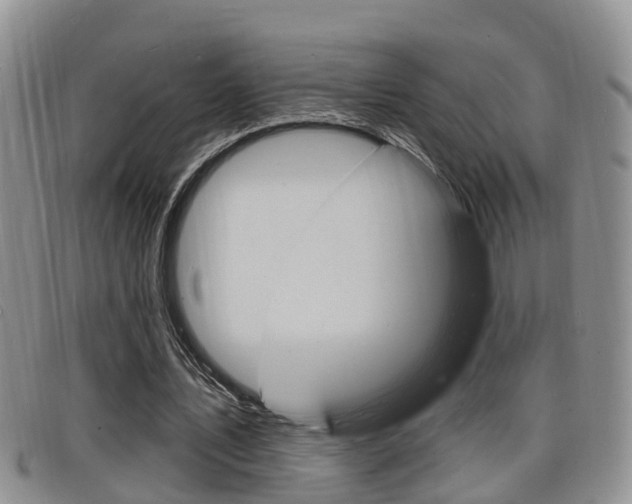 X0000098200579200804241041