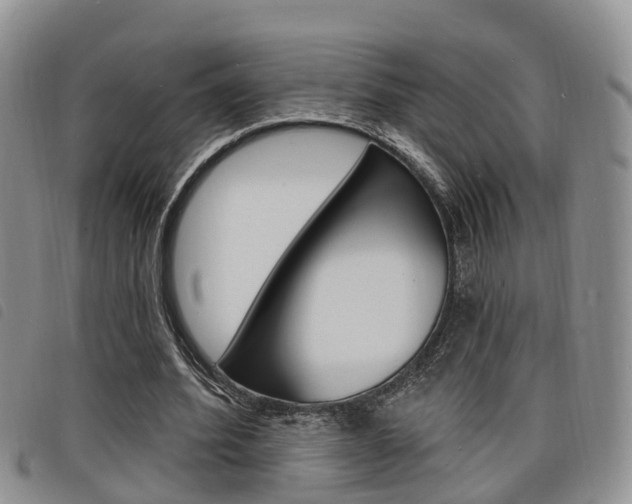 X0000098200580200804241041
