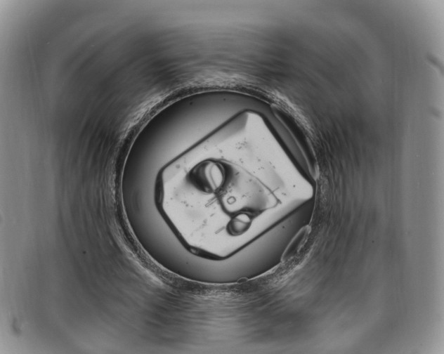 X0000098200581200804241041