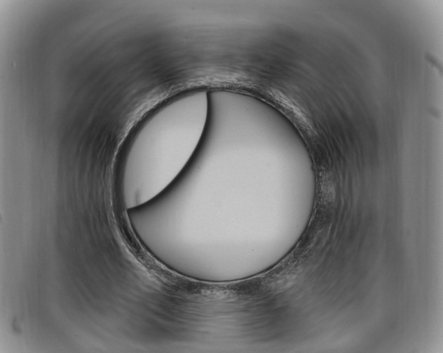 X0000098200582200804241041