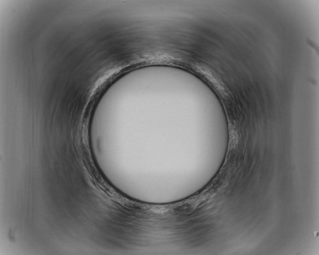 X0000098200583200804241041