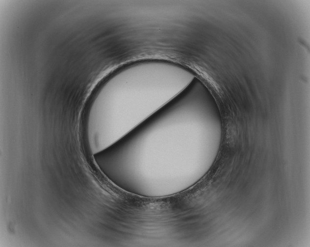 X0000098200584200804241041