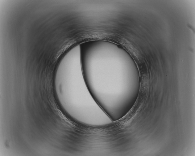 X0000098200585200804241041