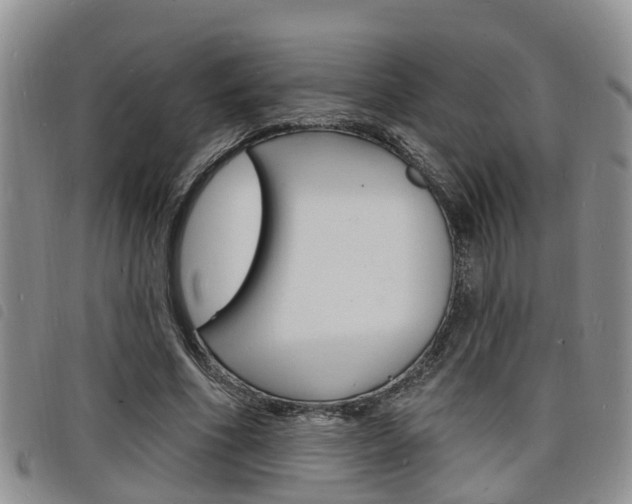 X0000098200586200804241041