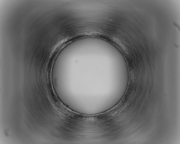 X0000098200587200804241040