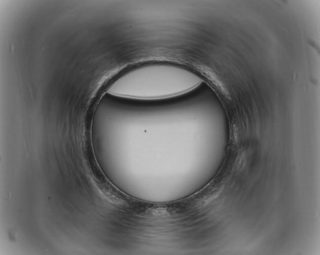 X0000098200588200804241040