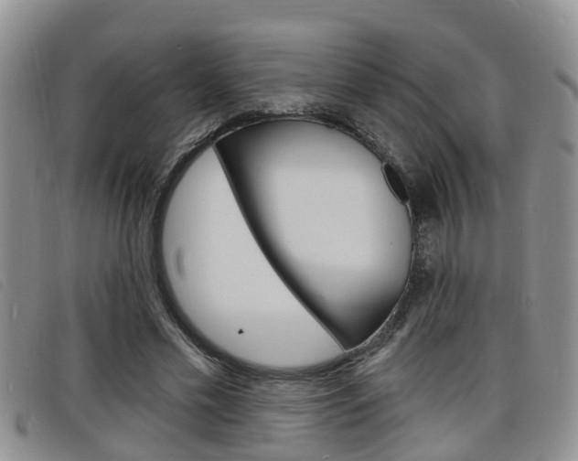 X0000098200589200804241040
