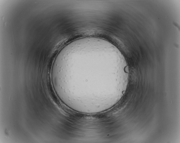 X0000098200590200804241040