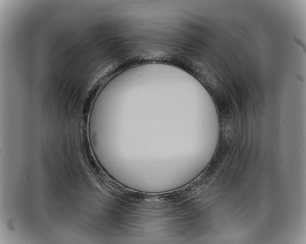 X0000098200591200804241040