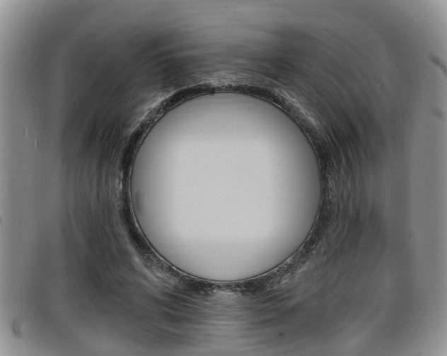 X0000098200592200804241040