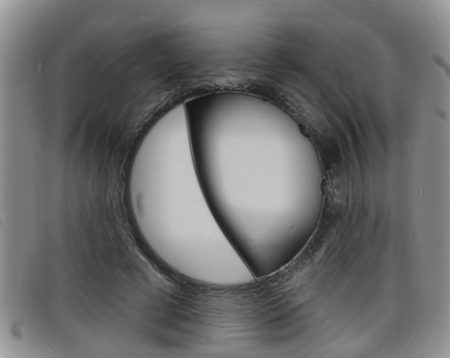 X0000098200593200804241040