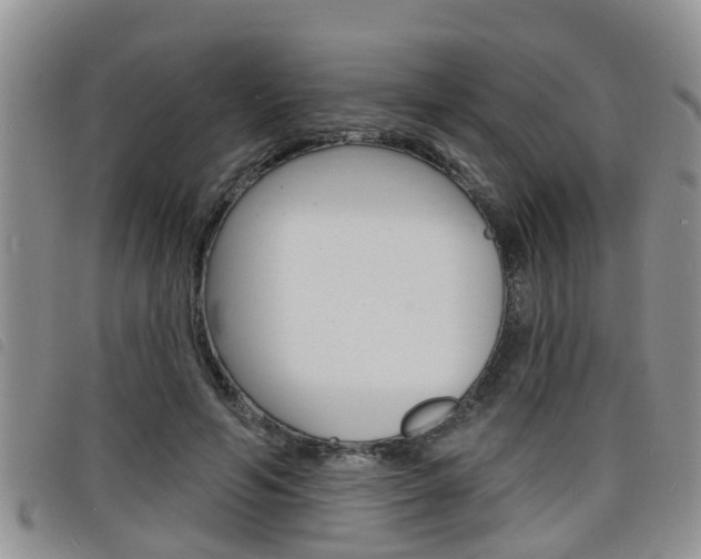 X0000098200594200804241040