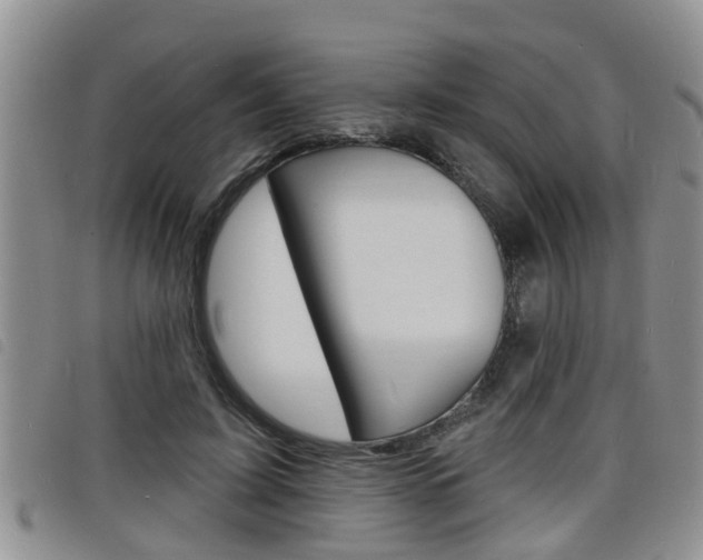 X0000098200595200804241040