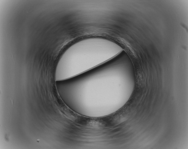 X0000098200596200804241040
