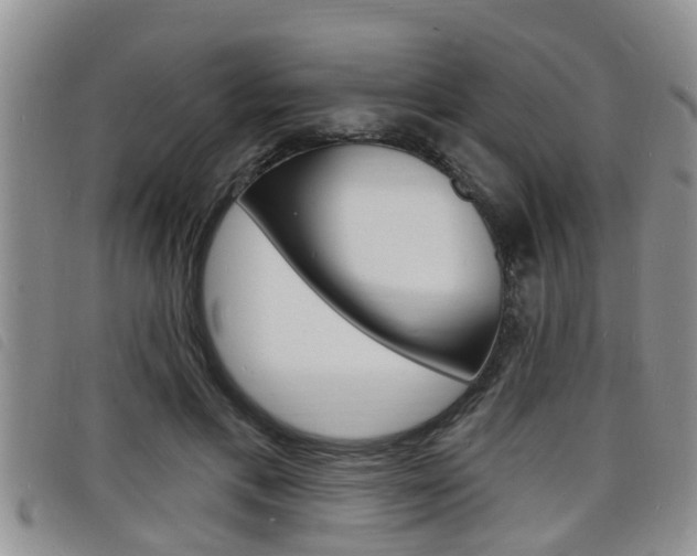 X0000098200597200804241040