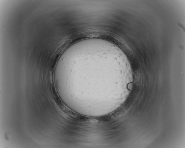 X0000098200598200804241040