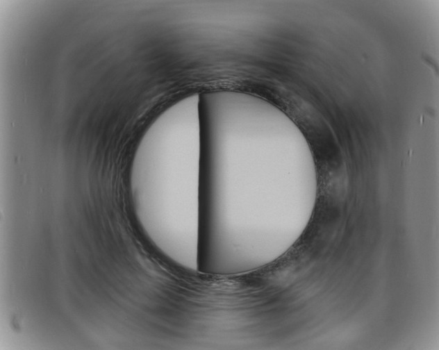 X0000098200599200804241040