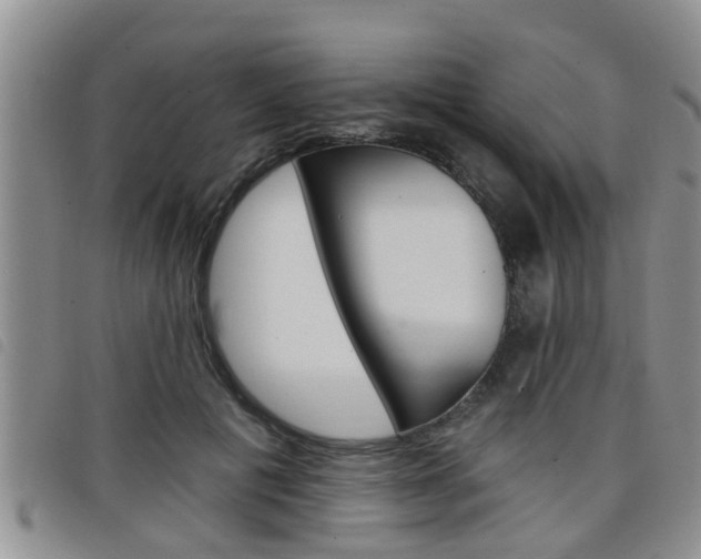 X0000098200601200804241040