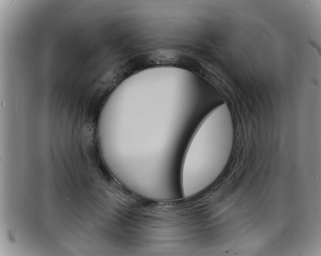 X0000098200604200804241040