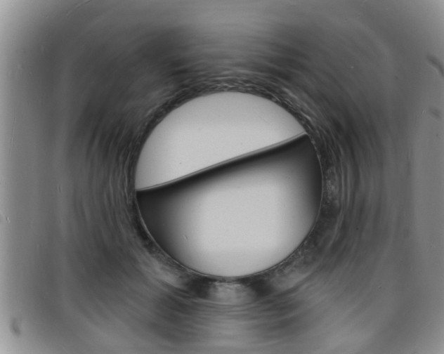 X0000098200605200804241040