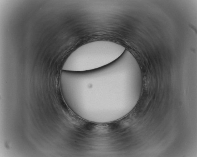 X0000098200606200804241040