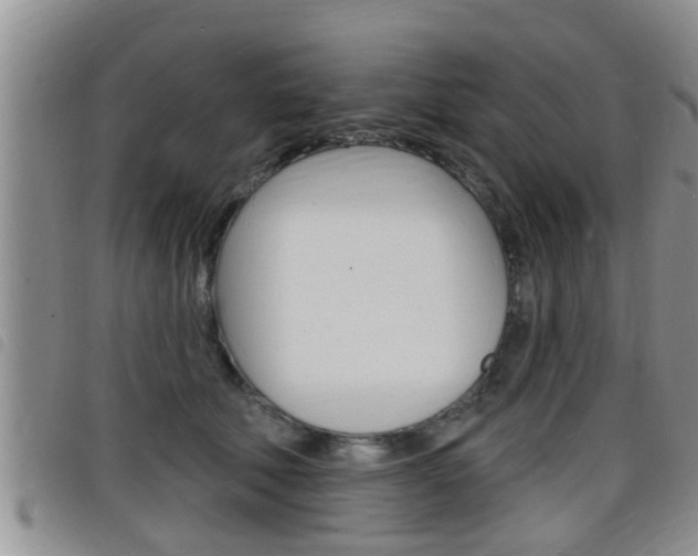 X0000098200610200804241040