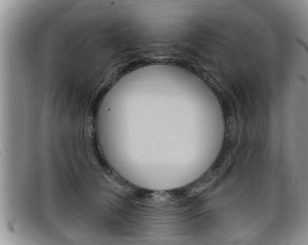 X0000098200612200804241040
