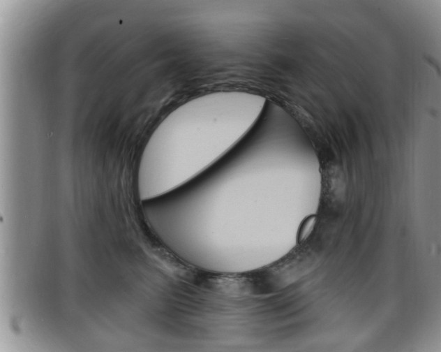 X0000098200615200804241040