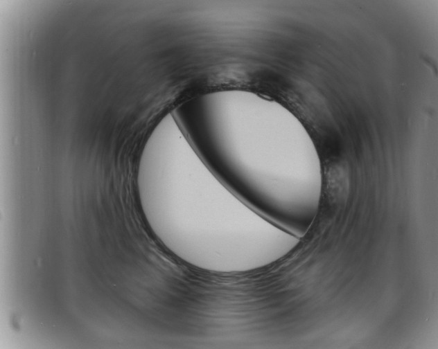 X0000098200617200804241040
