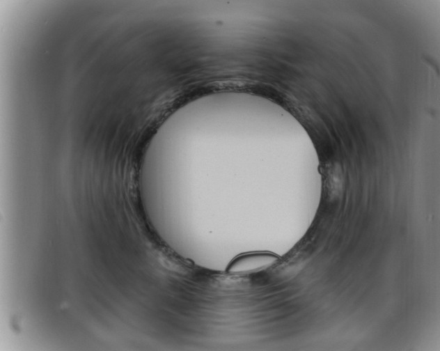X0000098200619200804241040